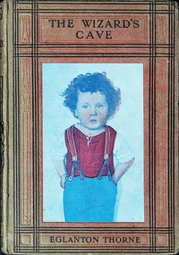 Book cover of "The wizard's cave"