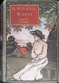 Book cover of "A wilful ward"