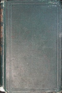 Book cover of "The new buggy"