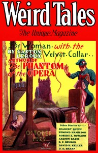 Book cover of "Skull-face"