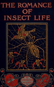Book cover of "The romance of insect life : $b Interesting descriptions of the strange and curious in the insect world"