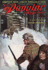 Book cover of "The lost charm"