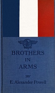 Book cover of "Brothers in arms"
