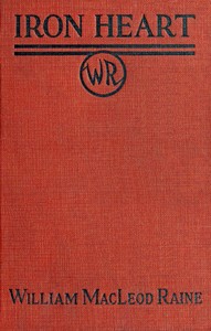 Book cover of "Ironheart"