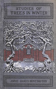 Book cover of "Studies of trees in winter : $b A description of the deciduous trees of northeastern America"