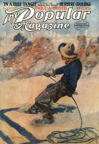 Book cover of "The mating impulse"