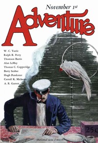 Book cover of "Salute"