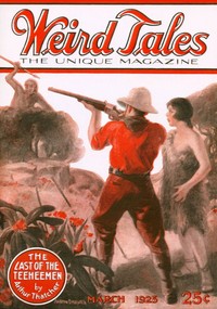 Book cover of "The thin match"