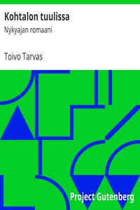 Book cover of "Kohtalon tuulissa : $b Nykyajan romaani"