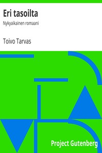 Book cover of "Eri tasoilta : $b Nykyaikainen romaani"