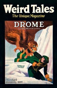 Book cover of "The lost race"