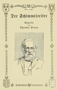 Book cover of "Der Schimmelreiter"
