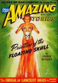 Book cover of "The ordeal of Lancelot Biggs"