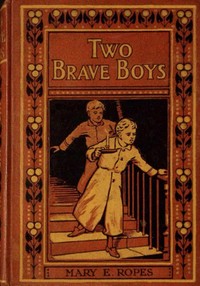 Book cover of "Two brave boys, and, The wrong twin"