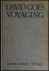 Book cover of "David goes voyaging"