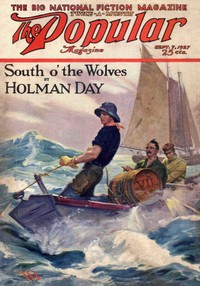 Book cover of "A good old scout"