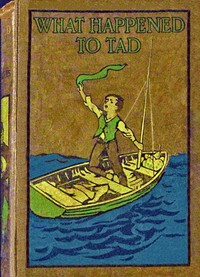 Book cover of "What happened to Tad"
