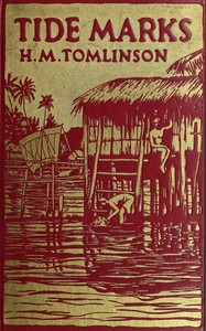 Book cover of "Tide marks : $b being some records of a journey to the beaches of the Moluccas and the forest of Malaya in 1923"