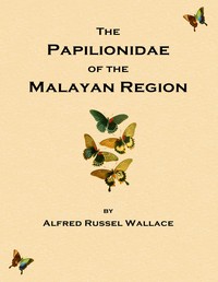 Book cover of "On the phenomena of variation and geographical distribution as illustrated by the Papilionidæ of the Malayan region"