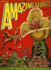Book cover of "The radio ghost"