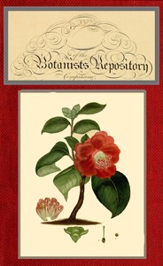 Book cover of "The botanist's repository for new and rare plants; vol. 09 [of 10]"