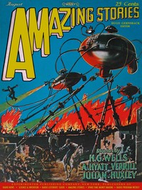 Book cover of "The shadow on the spark"