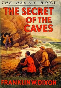 Book cover of "The secret of the caves"