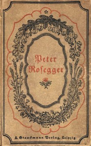 Book cover of "Sonderlinge"