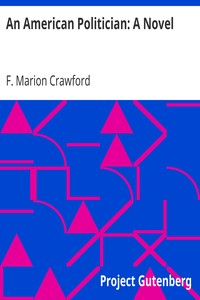 Book cover of "An American Politician: A Novel"