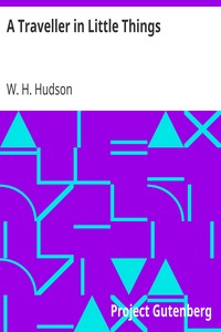 Book cover of "A Traveller in Little Things"