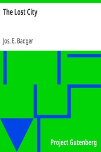 Book cover of "The Lost City"