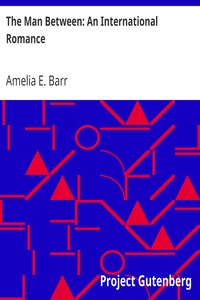 Book cover of "The Man Between: An International Romance"