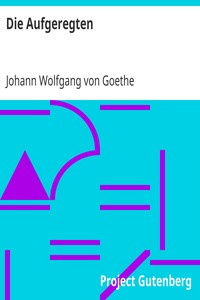 Book cover of "Die Aufgeregten"