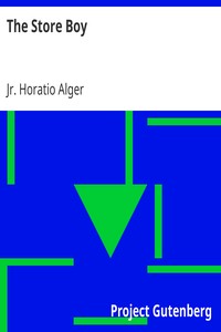 Book cover of "The Store Boy"