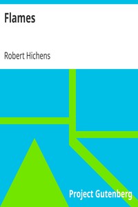 Book cover of "Flames"