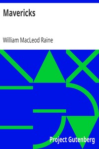 Book cover of "Mavericks"