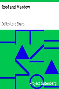 Book cover of "Roof and Meadow"