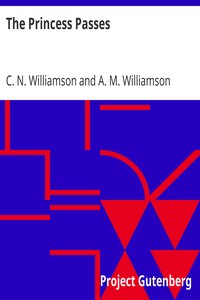 Book cover of "The Princess Passes"