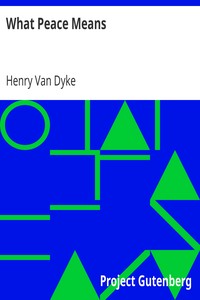 Book cover of "What Peace Means"