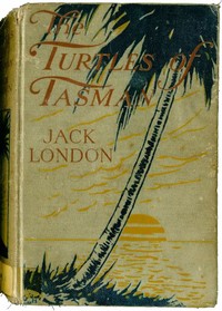 Book cover of "The Turtles of Tasman"