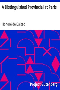 Book cover of "A Distinguished Provincial at Paris"