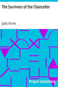 Book cover of "The Survivors of the Chancellor"