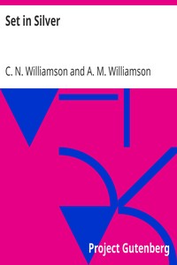 Book cover of "Set in Silver"