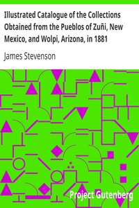 Book cover of "Illustrated Catalogue of the Collections Obtained from the Pueblos of Zuñi, New Mexico, and Wolpi, Arizona, in 1881 - Third Annual Report of the Bureau of Ethnology to the Secretary of the Smithsonian Institution, 1881-82, Government Printing Office, Was"