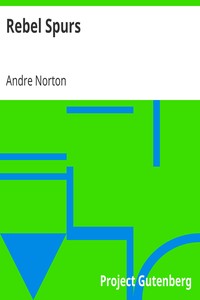 Book cover of "Rebel Spurs"