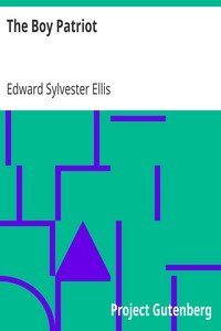 Book cover of "The Boy Patriot"