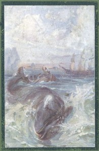 Book cover of "Fighting the Whales"