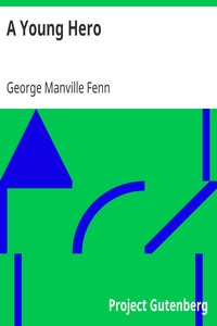 Book cover of "A Young Hero"