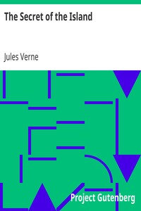 Book cover of "The Secret of the Island"