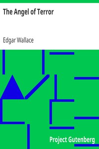 Book cover of "The Angel of Terror"